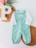 Conjunto balões em verde 6M