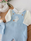 Conjunto coelhinho: jardineiras, camisola e gorro