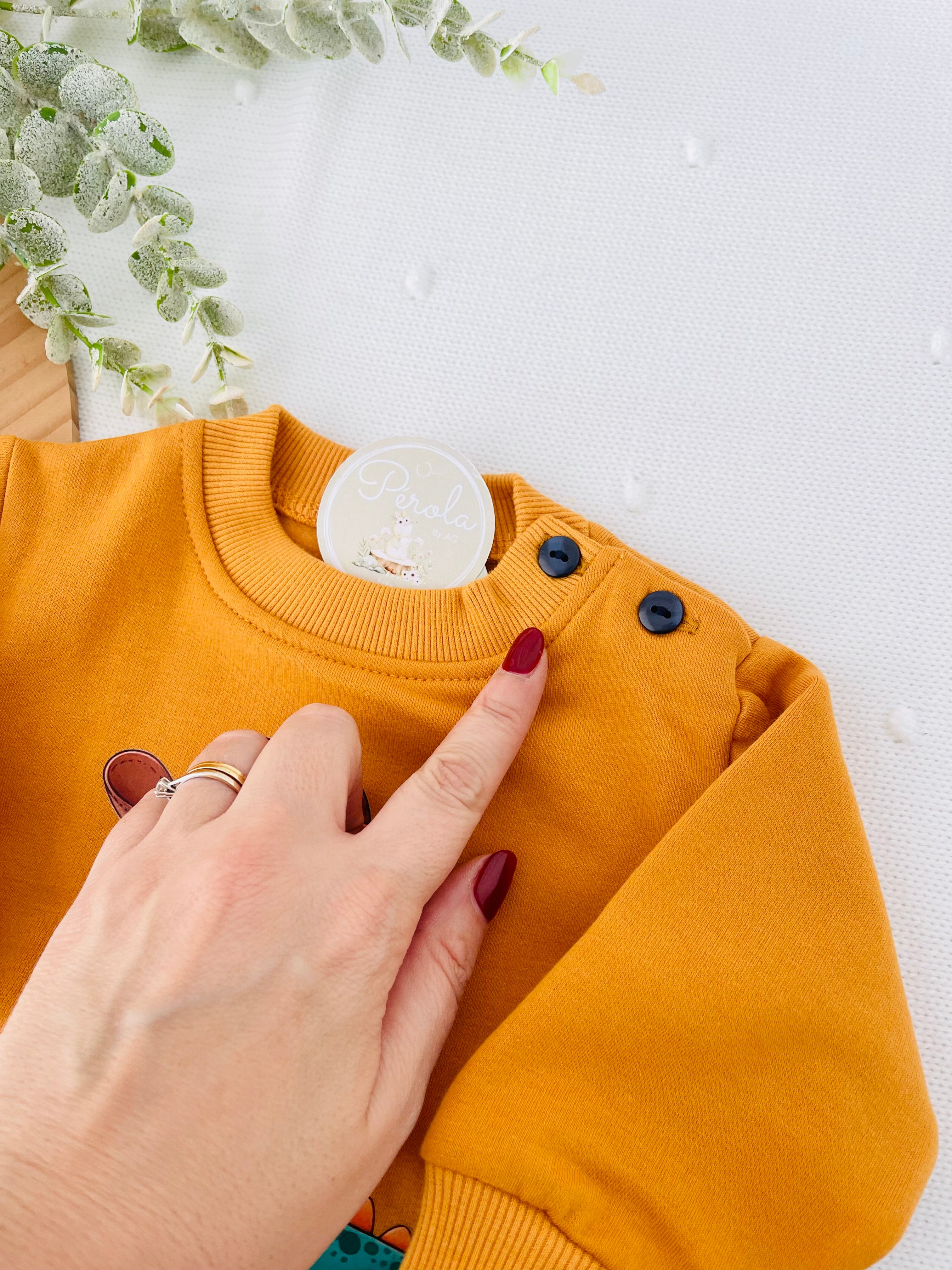 Camisola e calças de ganga: pequeno cowboy