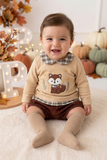 Conjunto raposa: camisola e calções
