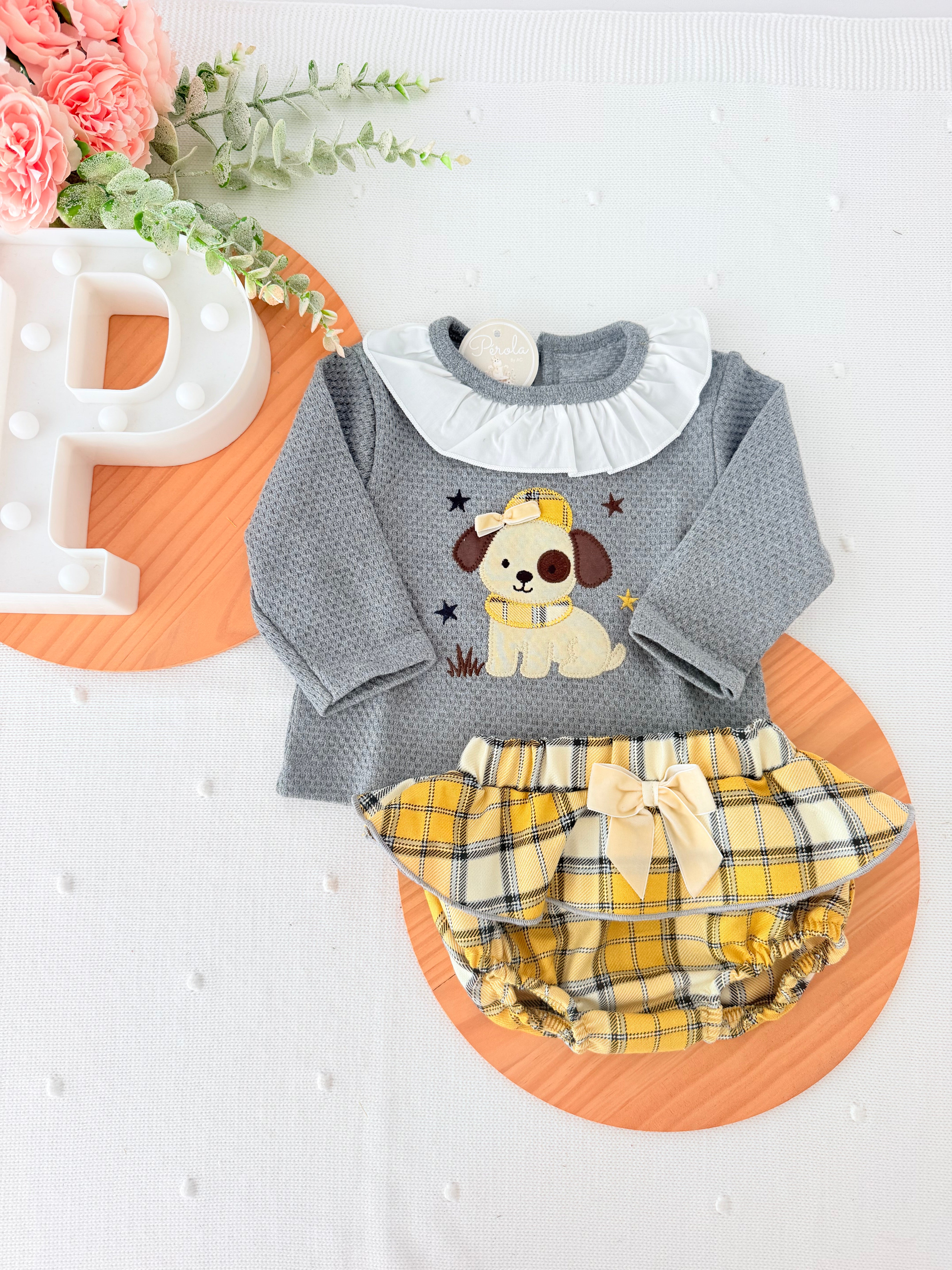 Conjunto cãozinho: camisola e saia com tapa fraldas