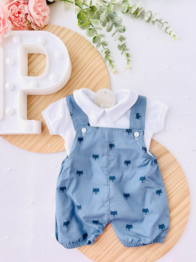 Conjunto raposas: jardineiras e camisola