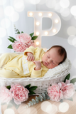 Babygrow veludo fita em renda