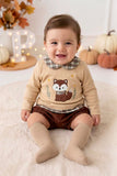 Conjunto raposa: camisola e calções