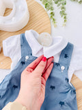 Conjunto raposas: jardineiras e camisola