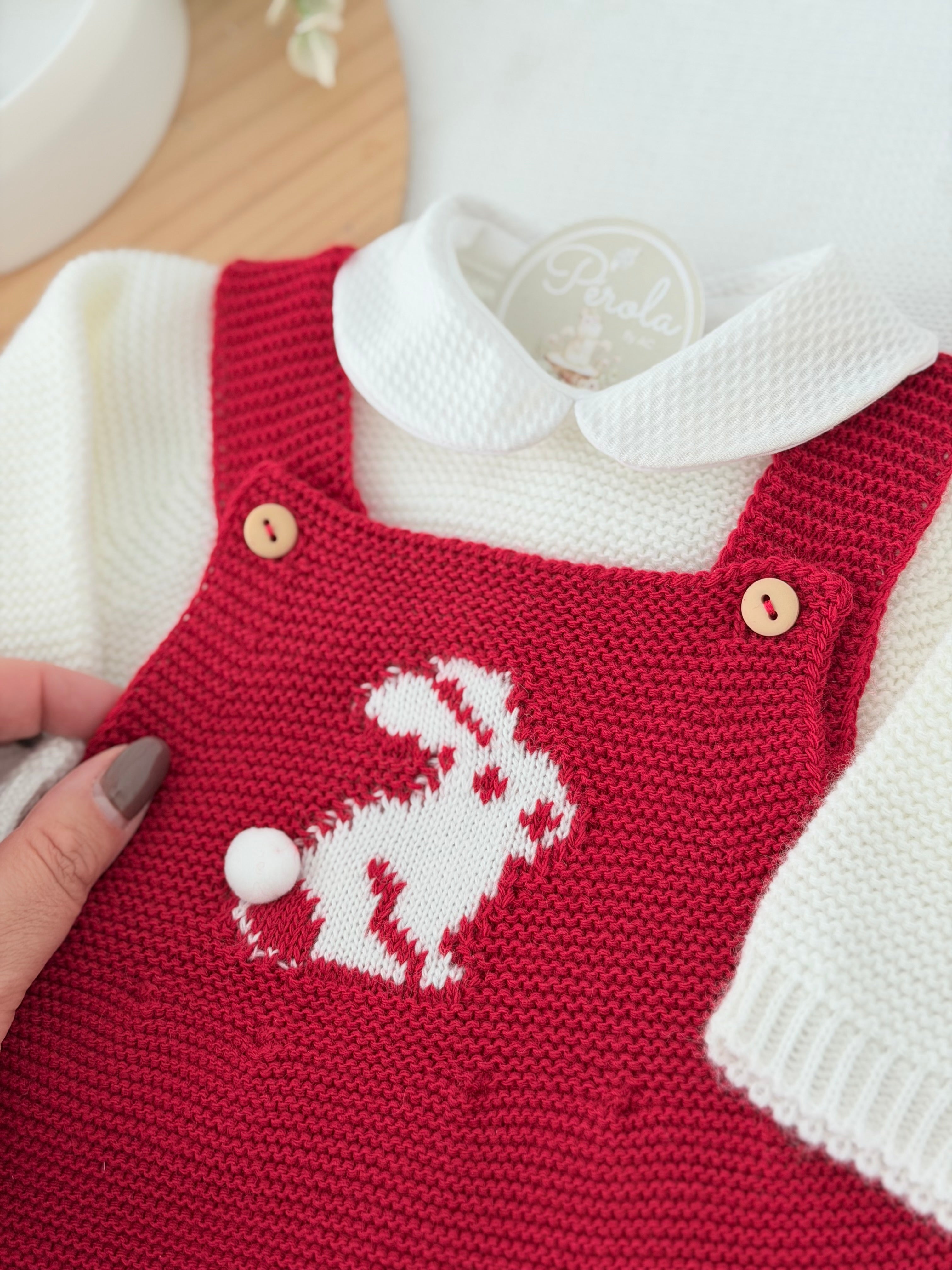 Conjunto coelhinho: jardineiras, camisola e gorro