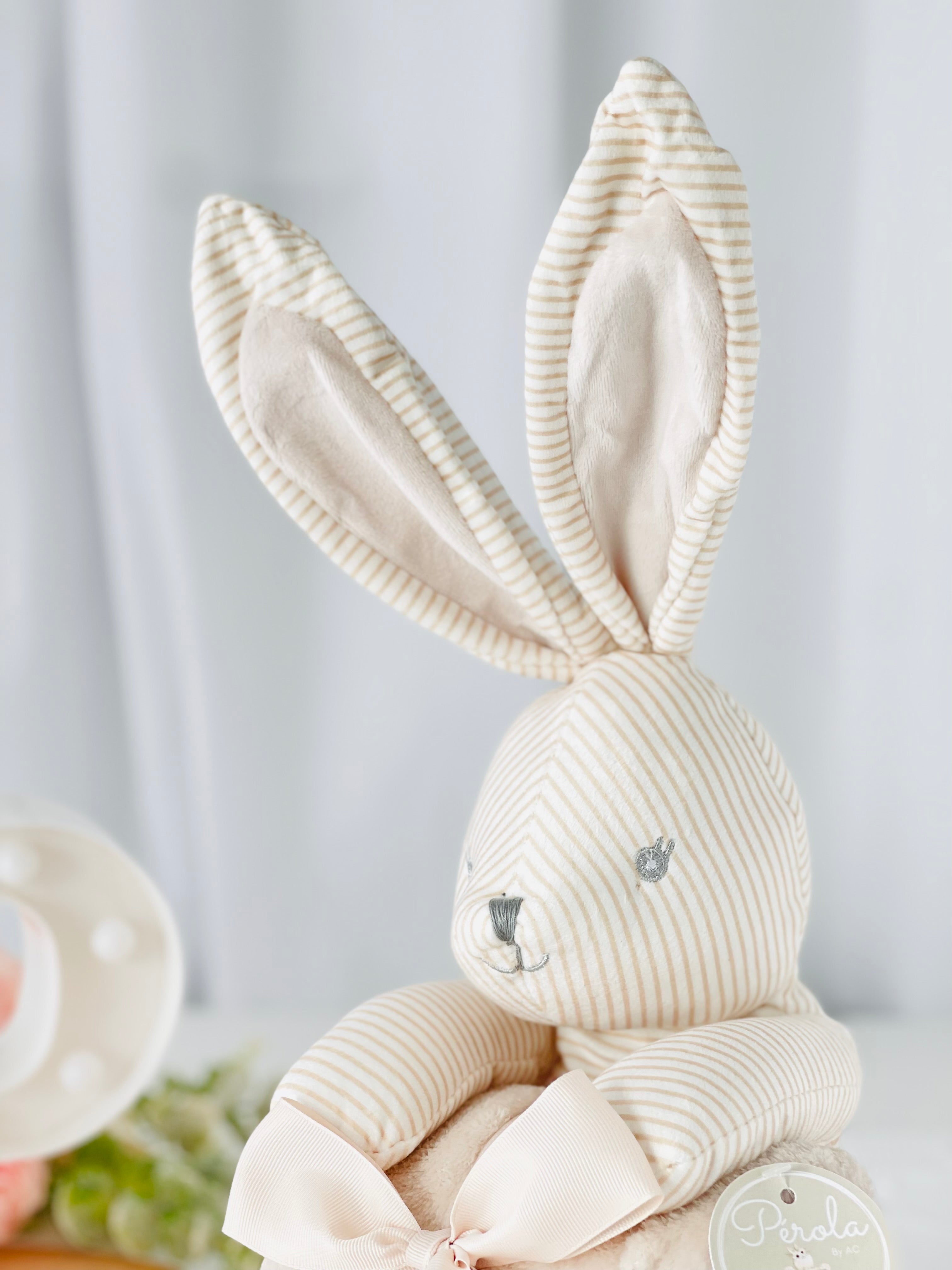 Peluche Coelho e manta