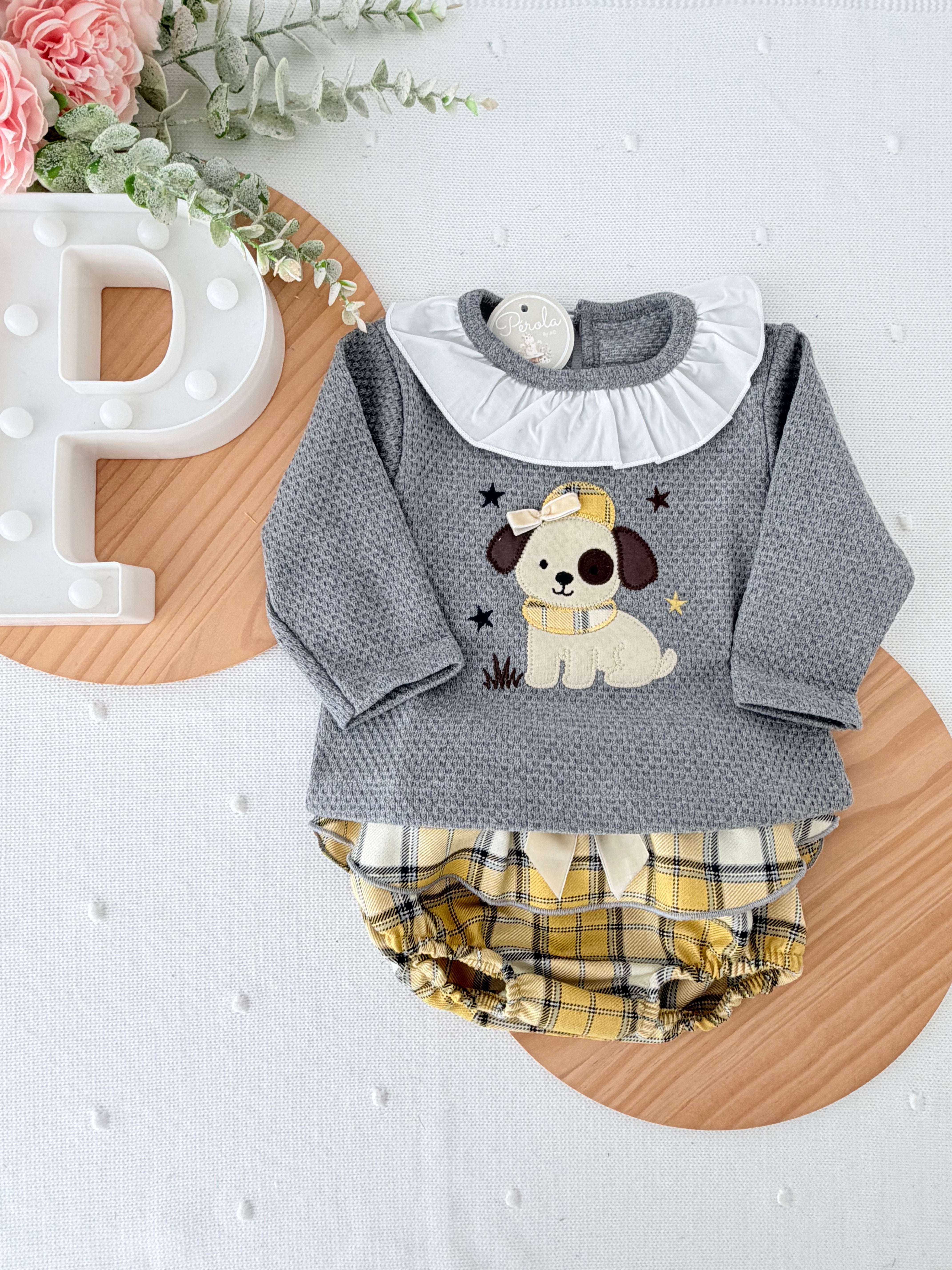 Conjunto cãozinho: camisola e saia com tapa fraldas