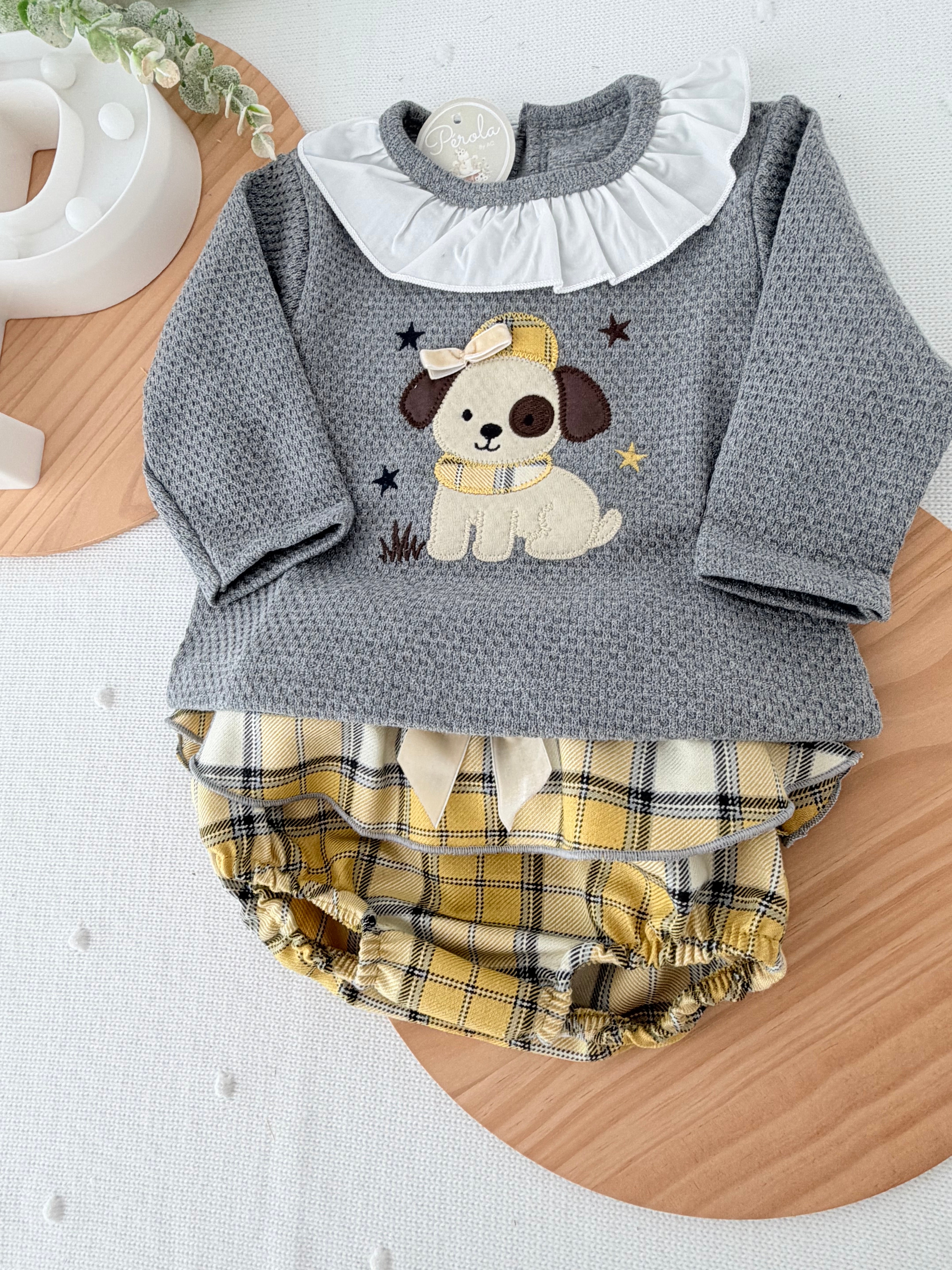 Conjunto cãozinho: camisola e saia com tapa fraldas