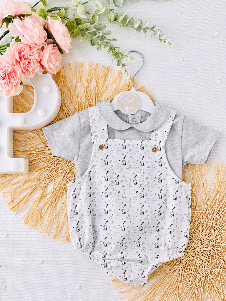 Conjunto gatinhos